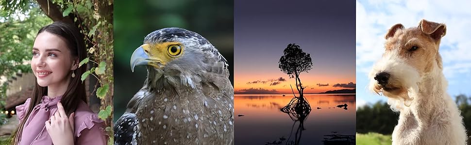 Canon EOS R50 Mirrorless Camera with Canon RF-S 18-45mm f/4.5-6.3 IS STM Lens and Transcend 64GB SDXC Memory Card + Camera Case