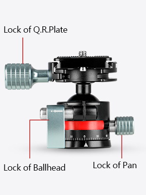 image for this item