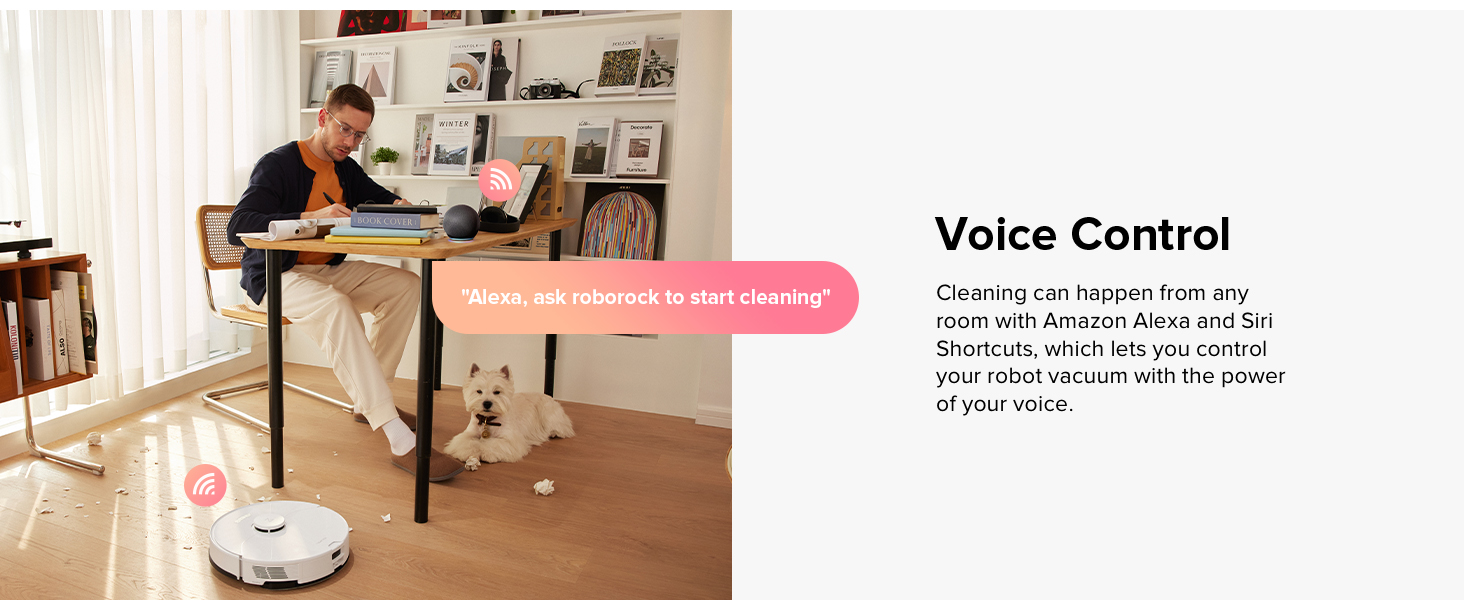 Roborock s5 max online alexa