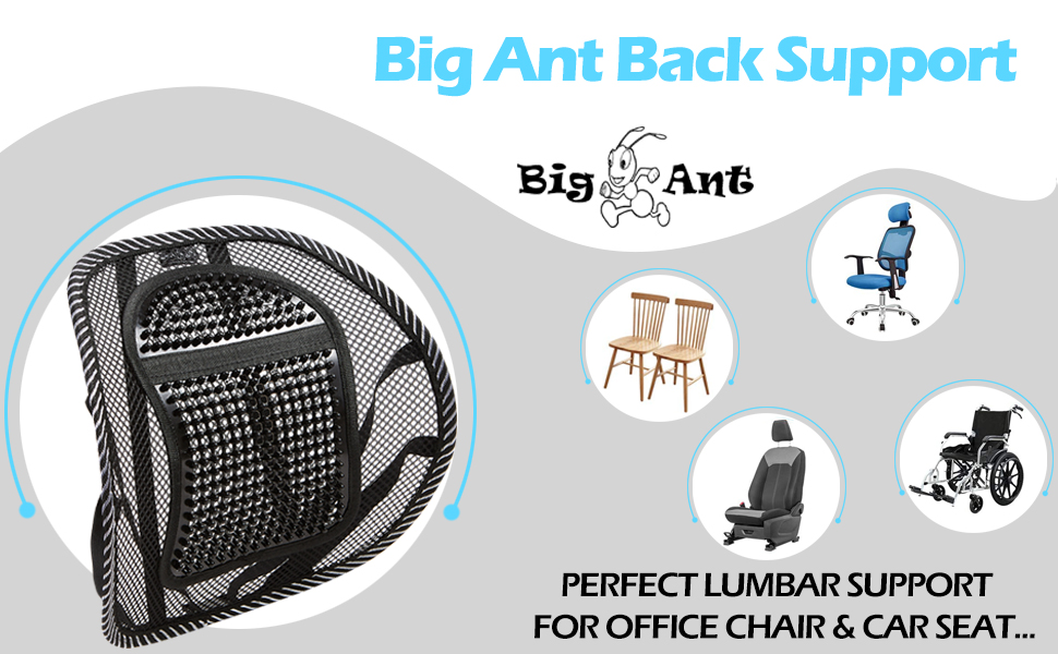 Big Ant Chair Lumbar Support, Breathable Mesh Back Support with Massage  Beads Ergonomic Designed For Comfort And Lower Back Pain Relief - Lumbar  Back Support for Car Seat Office Chair Wheelchair 