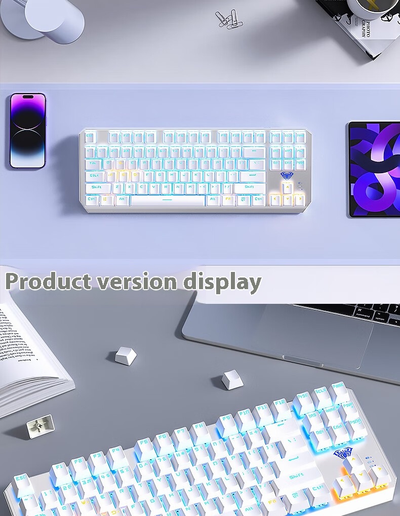 F3087 Gray-Black Dual