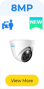 image for this item
