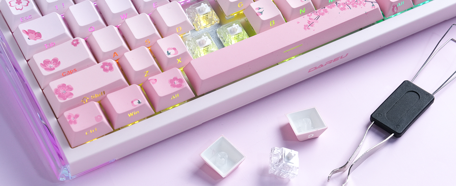 DAREU COOL68 Magnetic Gaming Keyboard