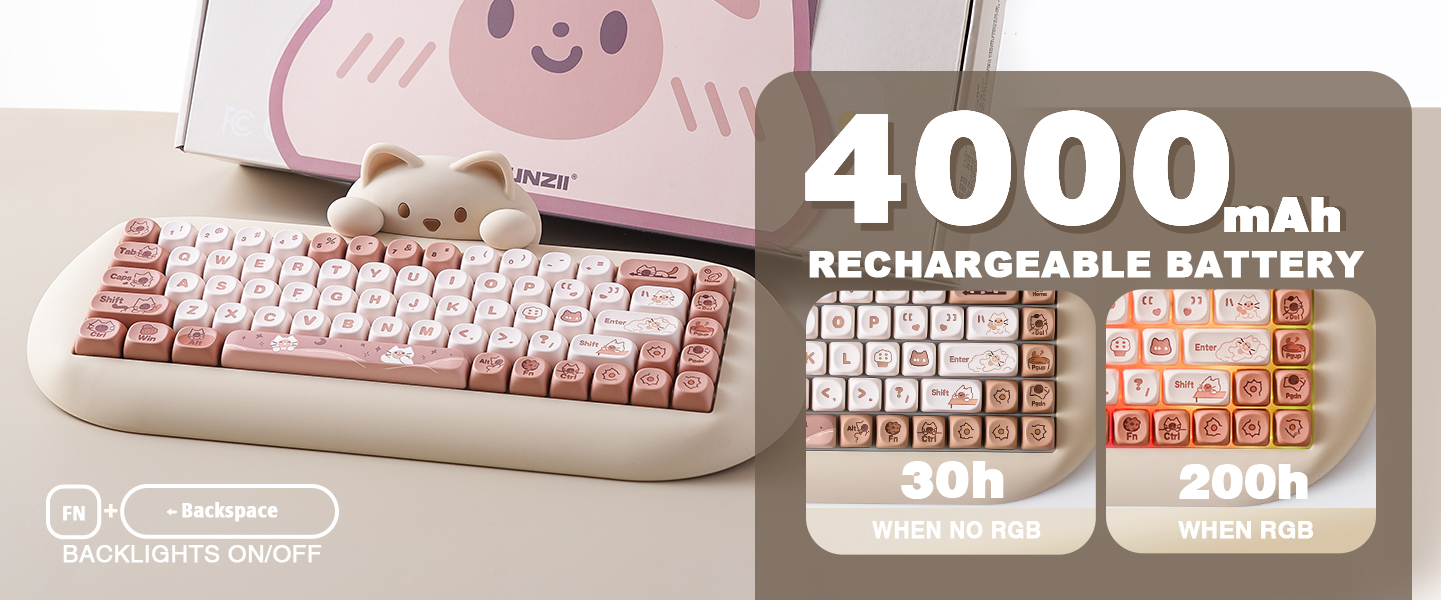 Rechargeable 4000mAh Battery