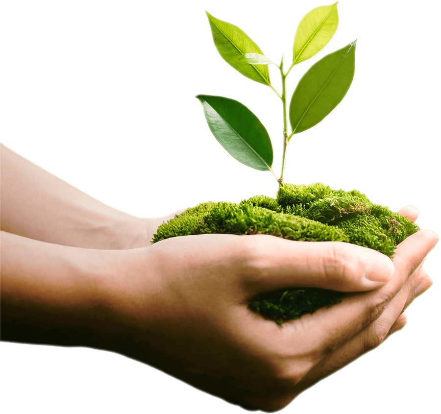 MSI Cubi NUC AI+ 3MG mini PC Barebone