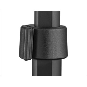 image for this item