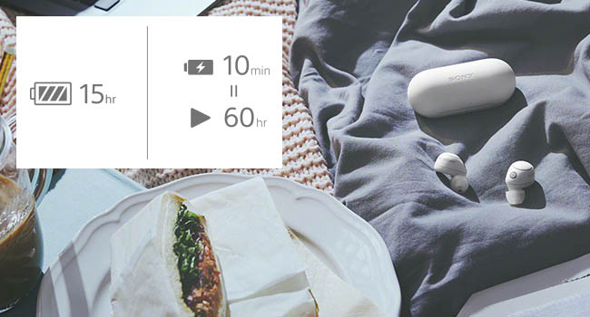 Sony Black Truly Wireless Noise Canceling In-Ear Headphones - WFC700N/B