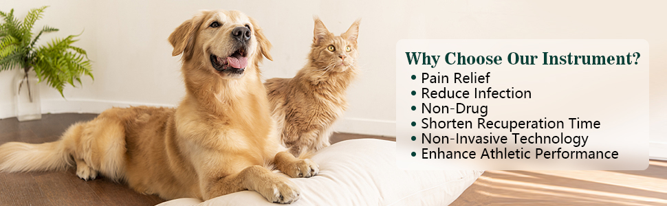 Why Choose PUPCA Instrument?