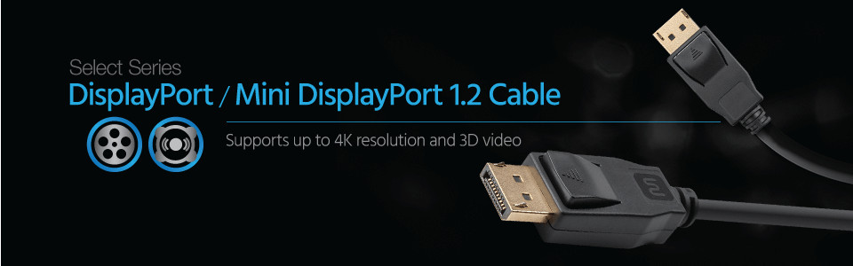 DISPLAY PORT