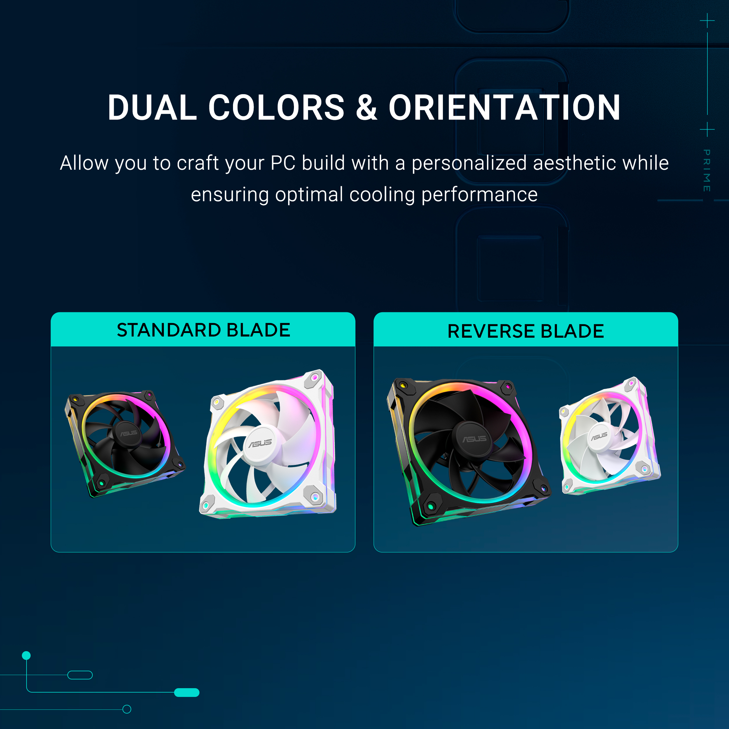 DUAL COLORS & ORIENTATION