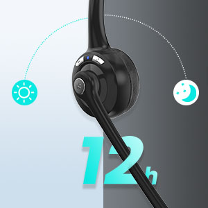 image for this item