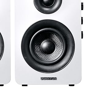 Sanyun SW208 Active Bluetooth 5.0 Bookshelf Speakers
