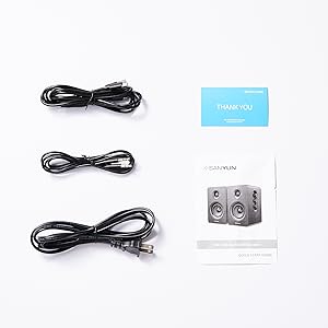 Sanyun SW208 Active Bluetooth 5.0 Bookshelf Speakers