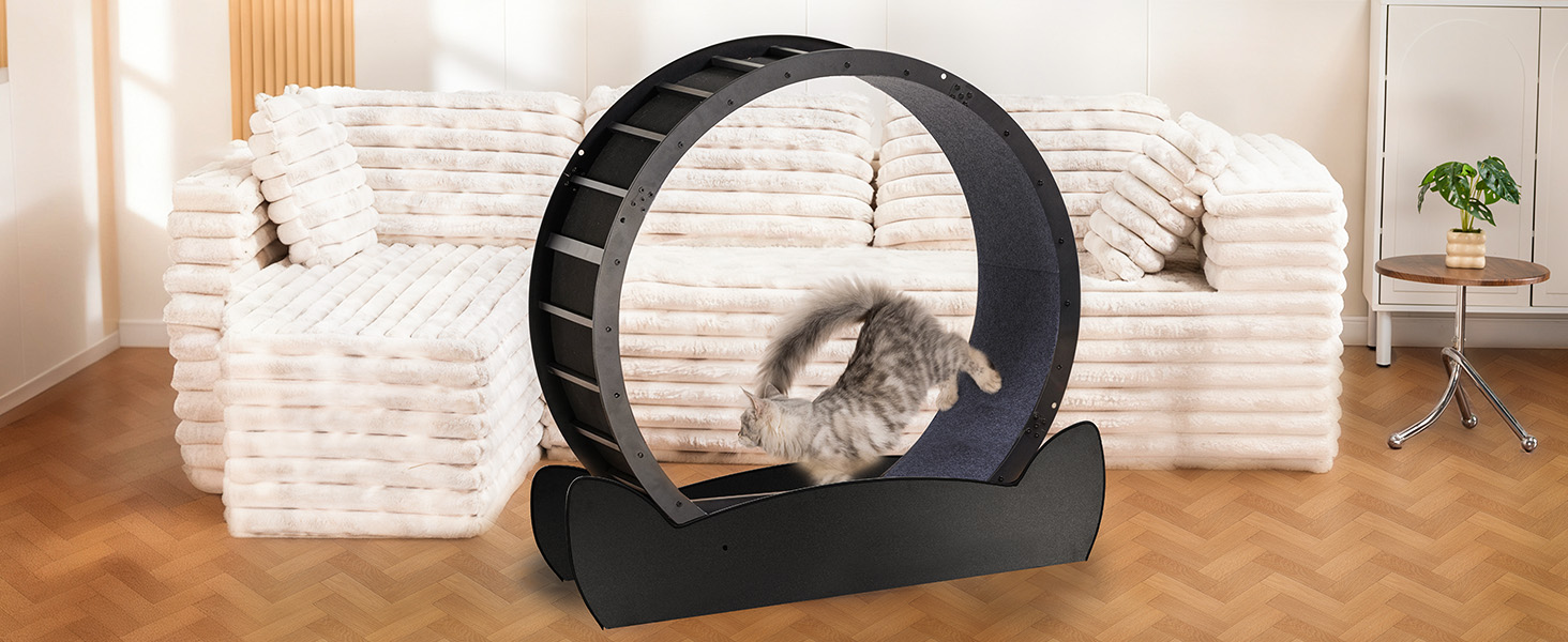 GTPLAYER Cat Wheels