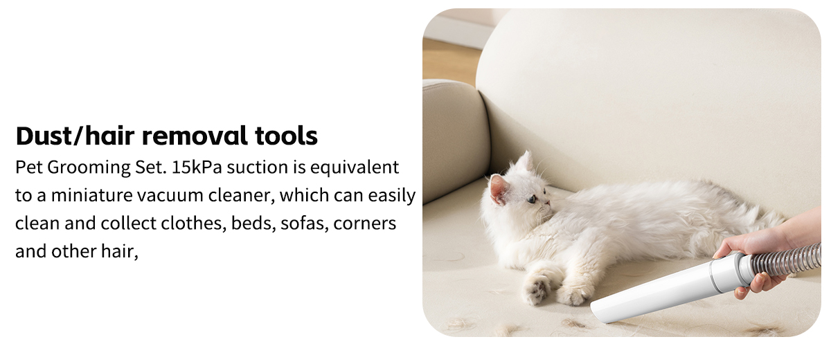 Dust/hair removal tools