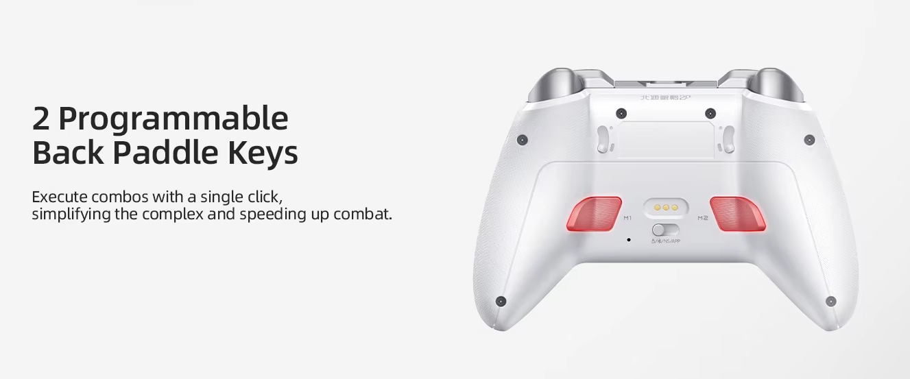 2 programmable back paddle keys