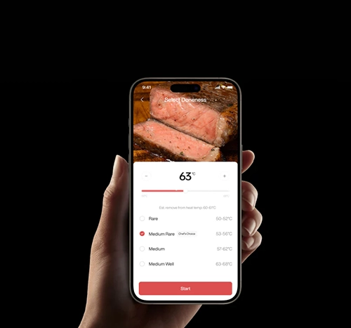 Typhur Sync One Smart Wireless Meat Thermometer