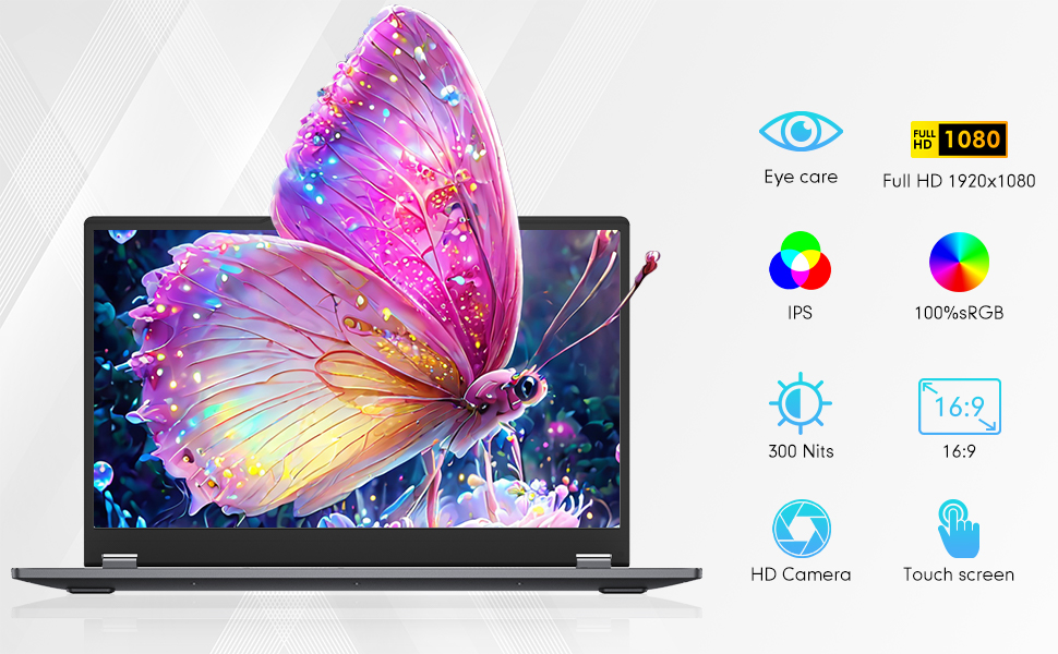 IPS Display