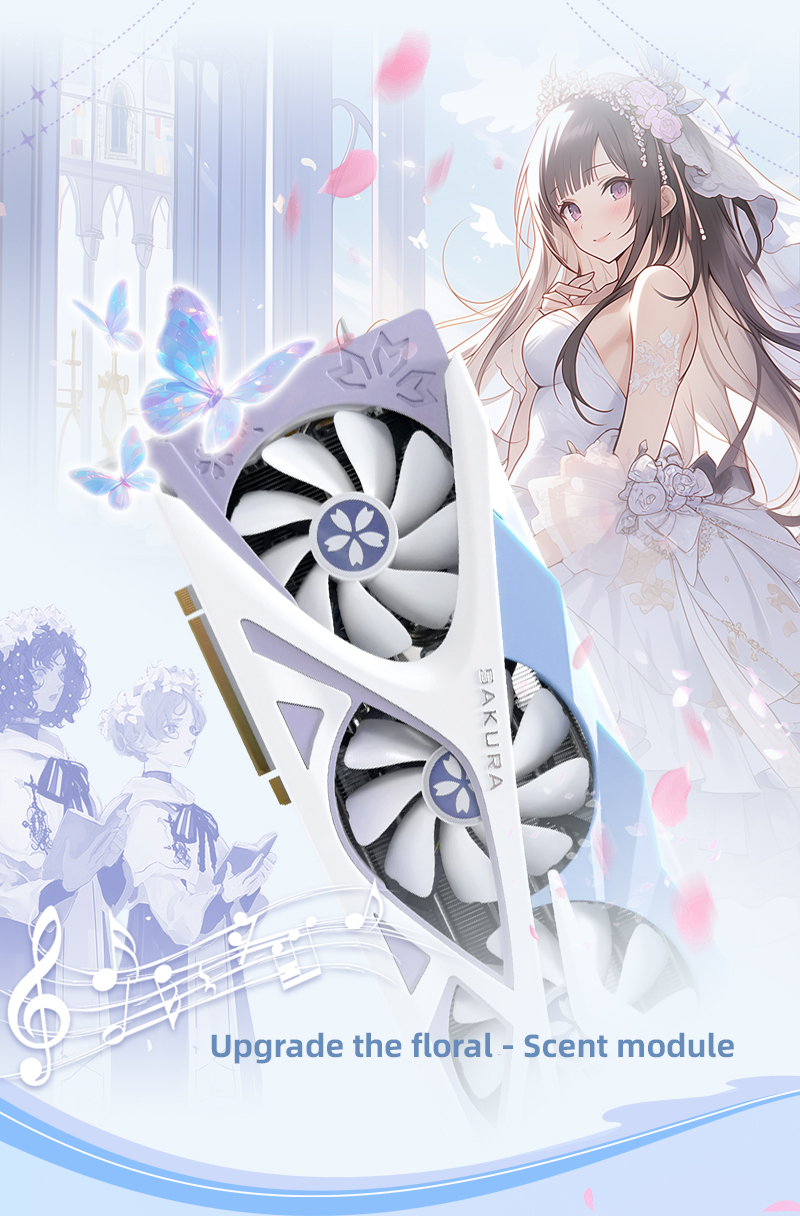 RX9060XT