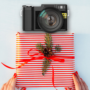 digital camera for beginners