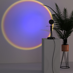 image for this item