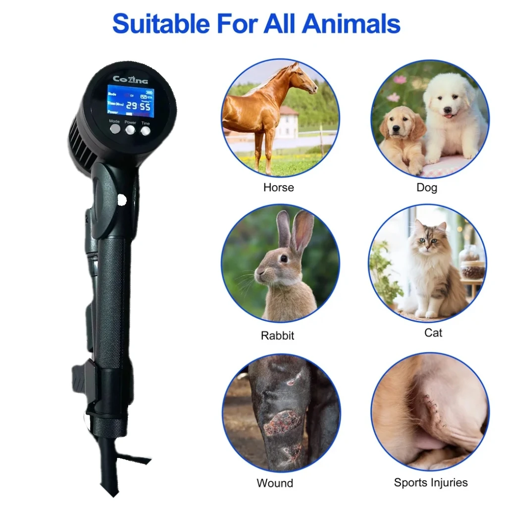 Laser relieves animal pain