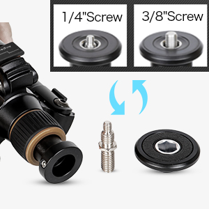 image for this item