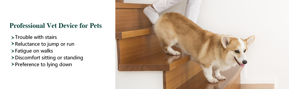 Professional Vet Device for Pets