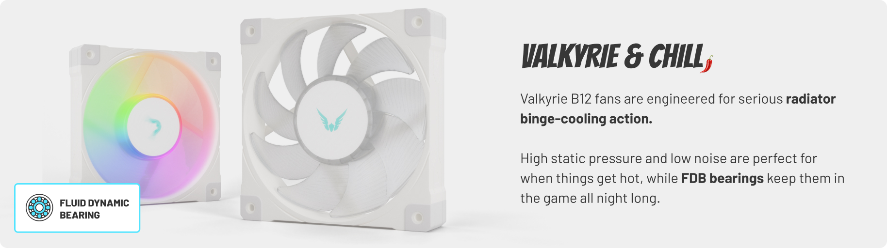 Valkyrie B12 fluid dynamic bearing fans