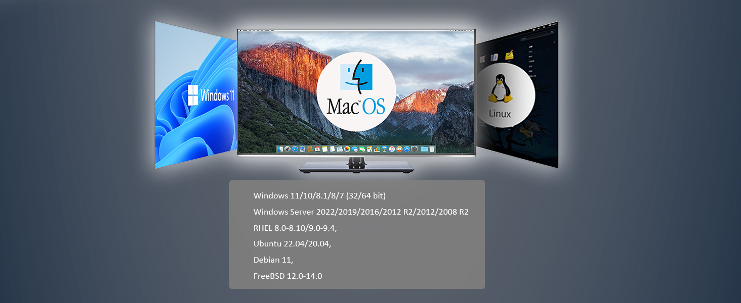 10Gb NIC