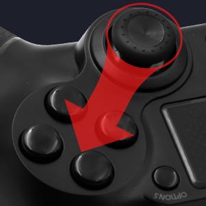 image for this item