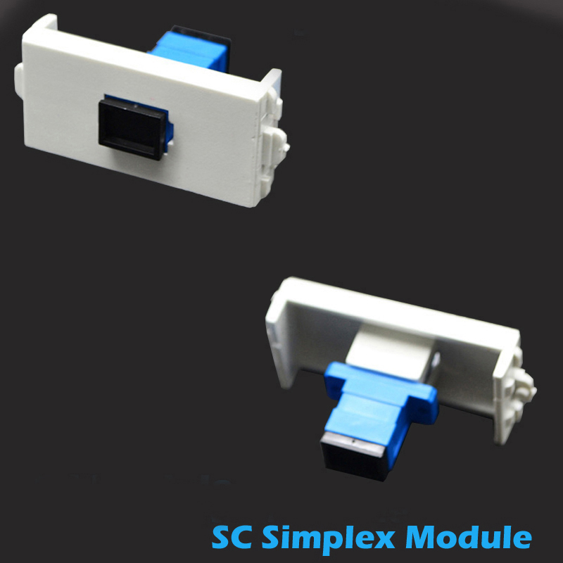 wall plate module