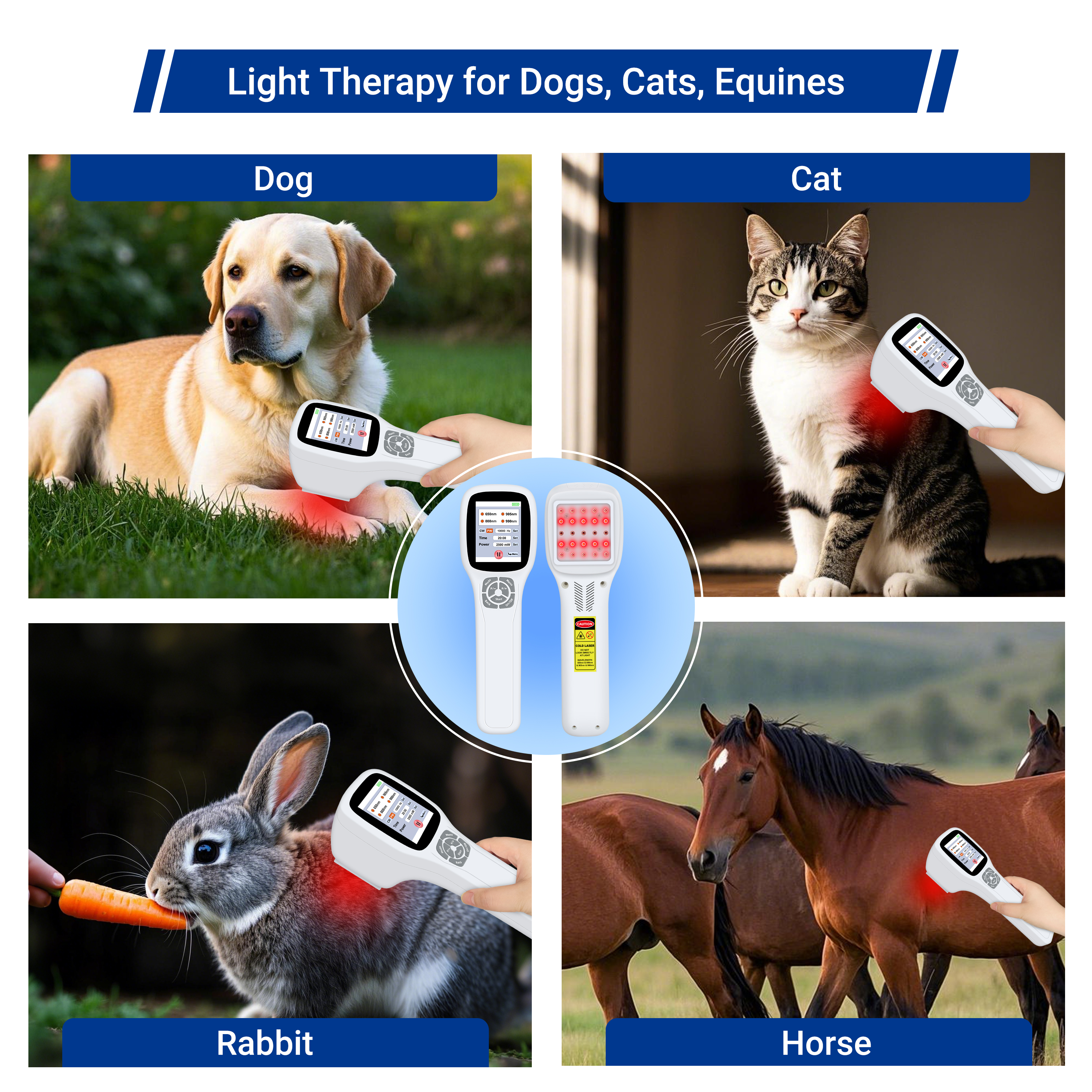 Laser Therapy, Multi Usage Scenarios