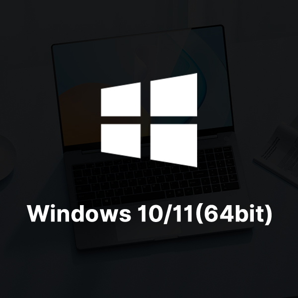 Windows 10/11