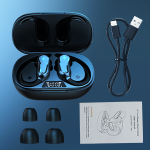 image for this item