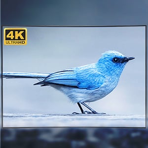 4K HD Resolution Support 4K@60Hz, 1920x1080P@60Hz @120Hz,@144Hz and backward compatible with lower r