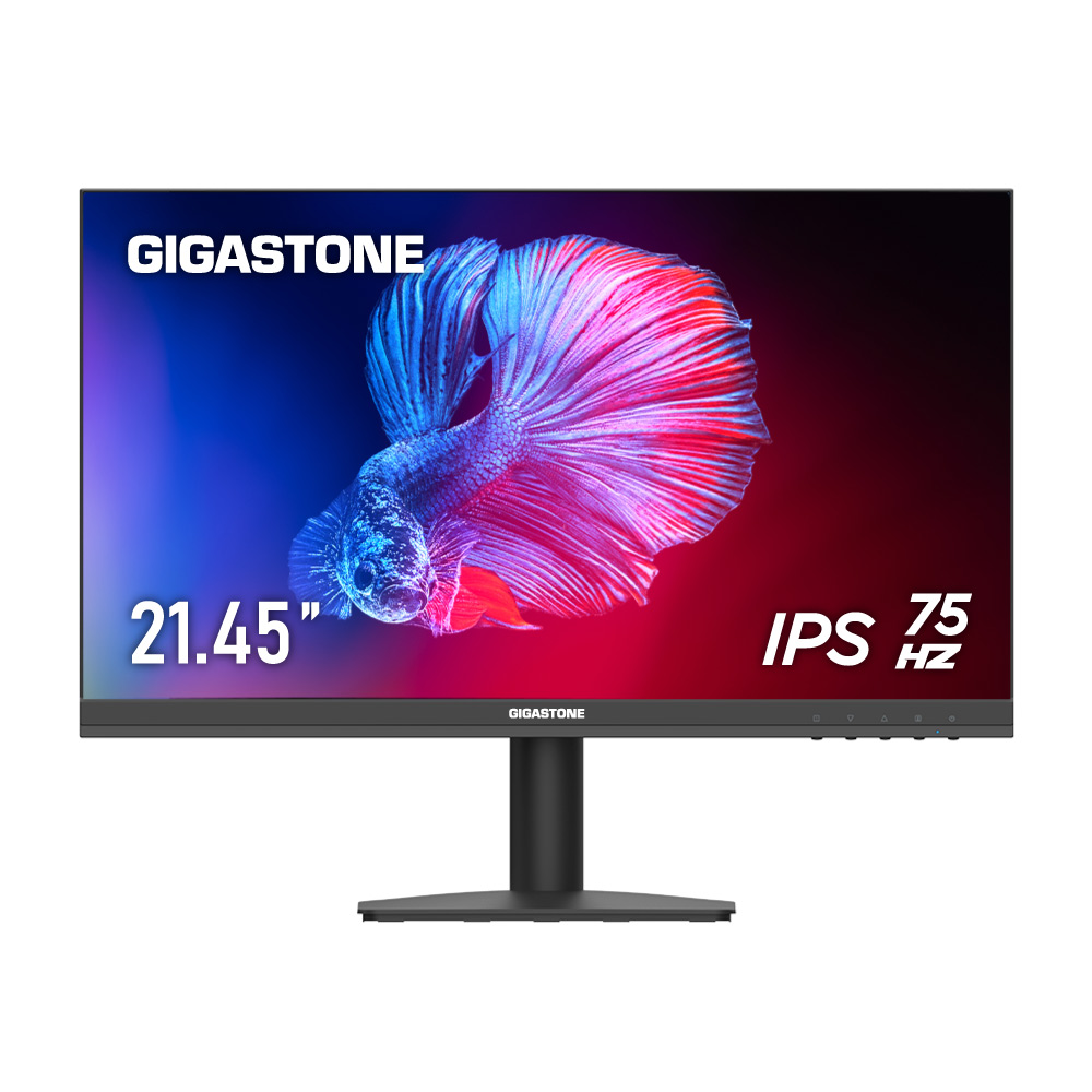 22 inch monitor