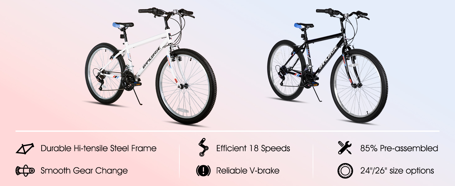 Product Introduction