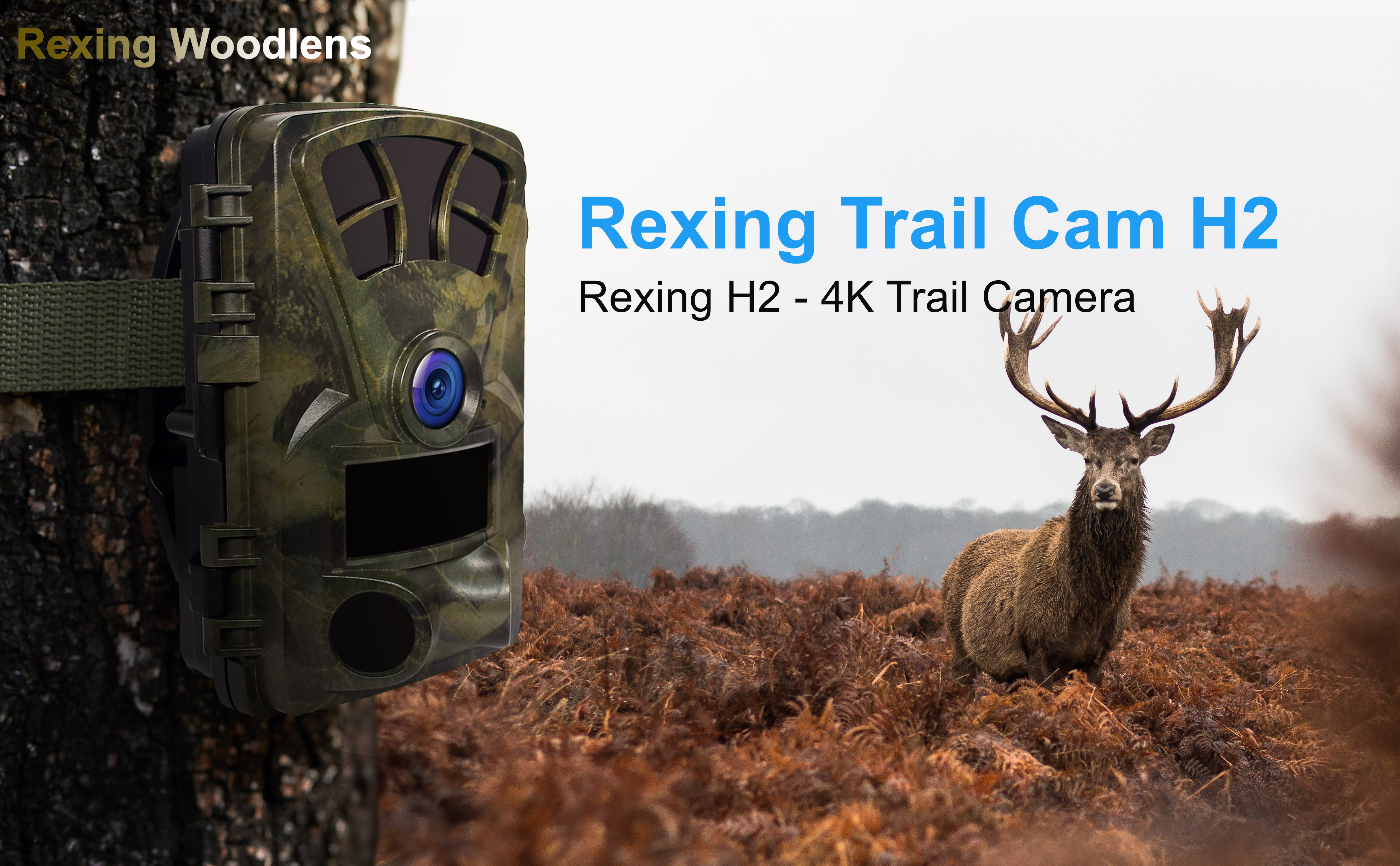 Rexing H1 HD 16MP hotsell Trail Camera Day & Nig