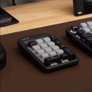 image for this item