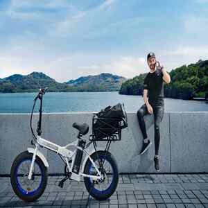 Ecotric folding fat bike