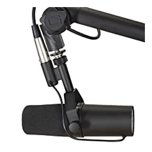 image for this item