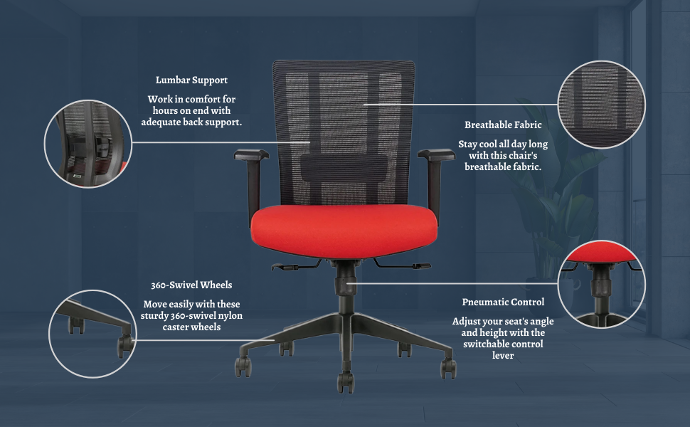 image for this item
