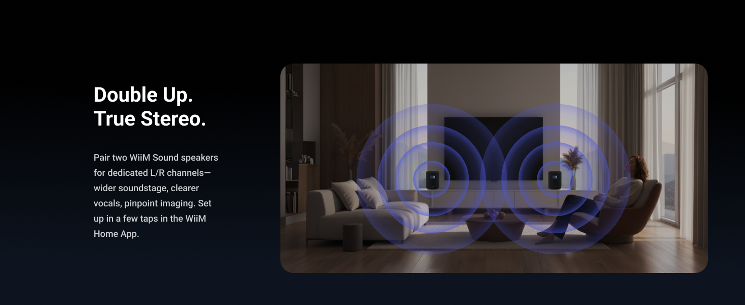 WiiM Sound Smart Speaker