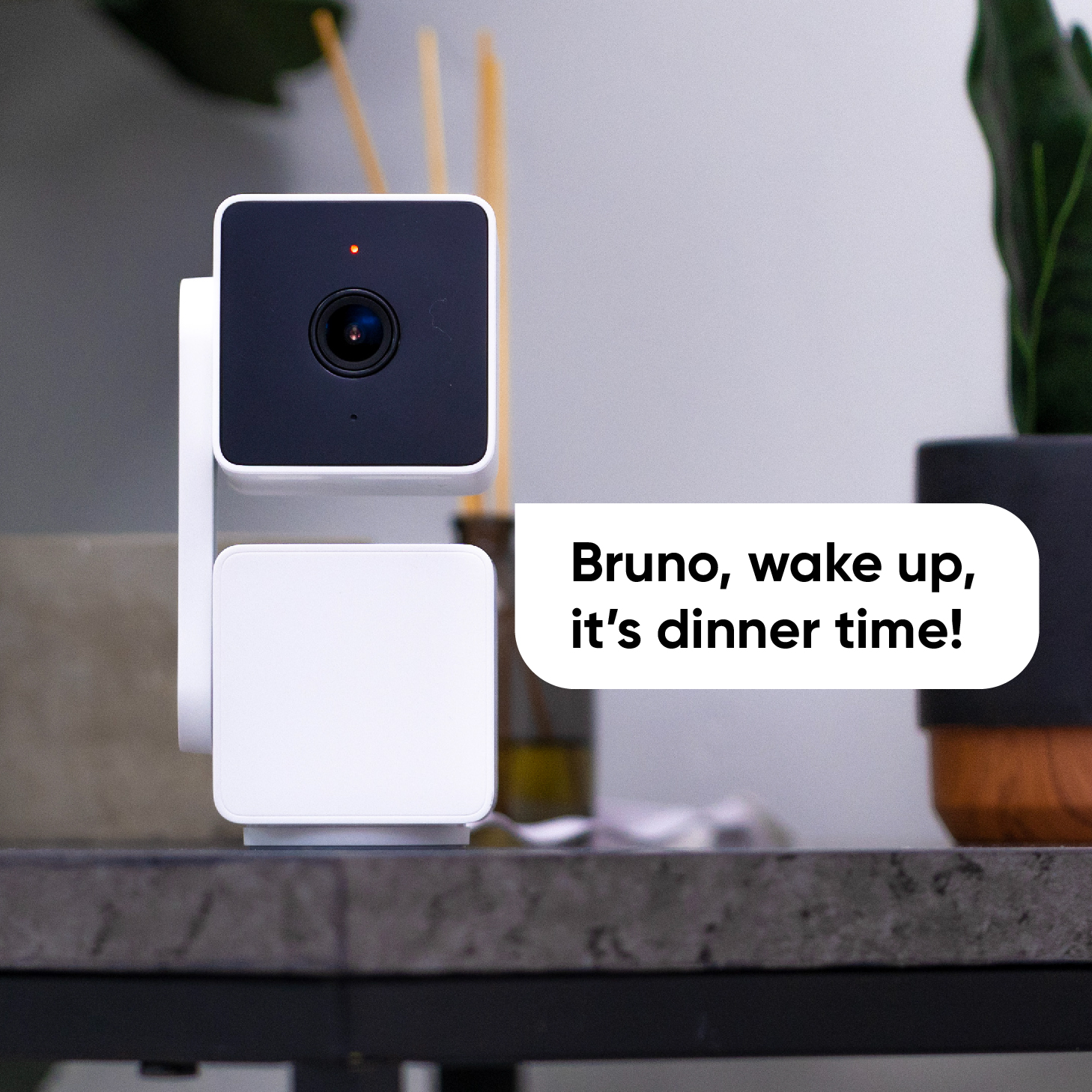 Wyze Cam Pan v3 Two Way Audio