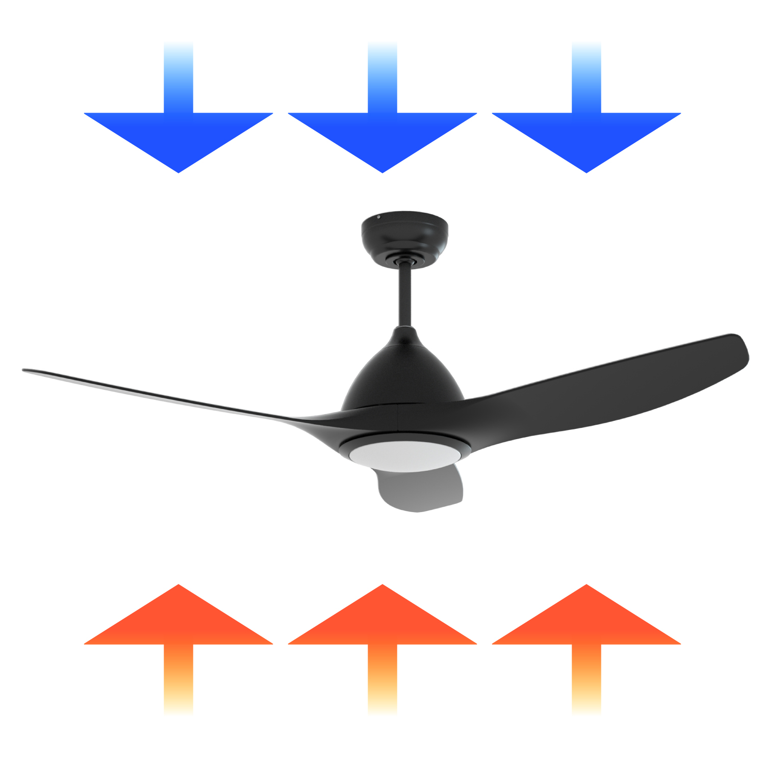 image for this item