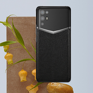 image for this item