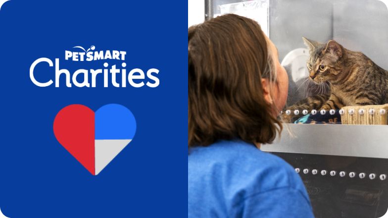 PetSmart E-Gift Card