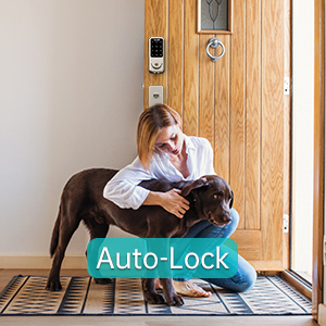 Auto lock