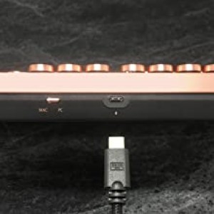 image for this item